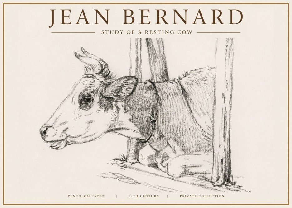 Jean Bernard Study of a Resting Cow II No4 - Affiche