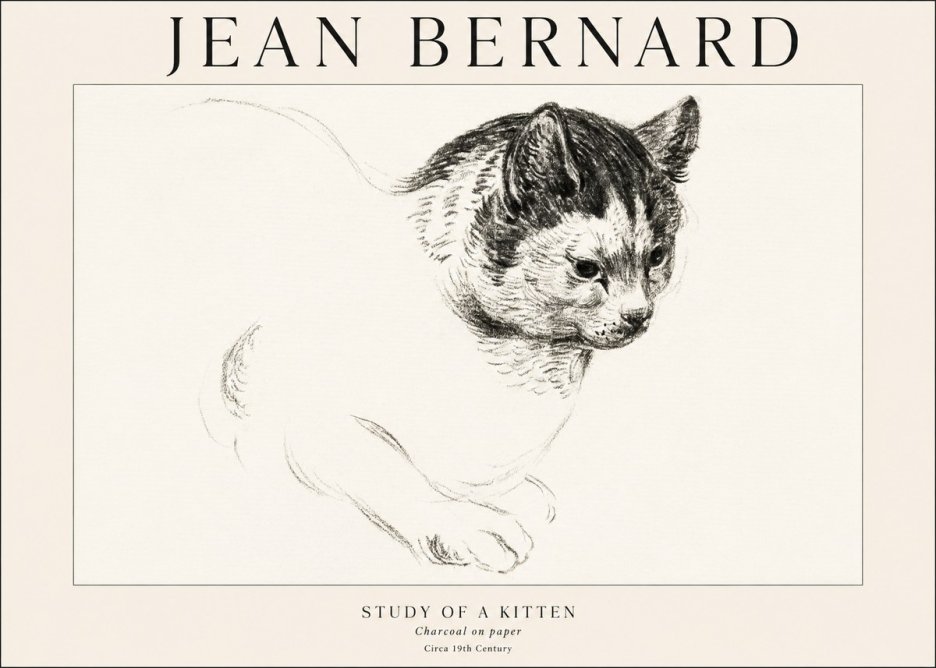 Jean Bernard Study of a Kitten I No1 - Affiche