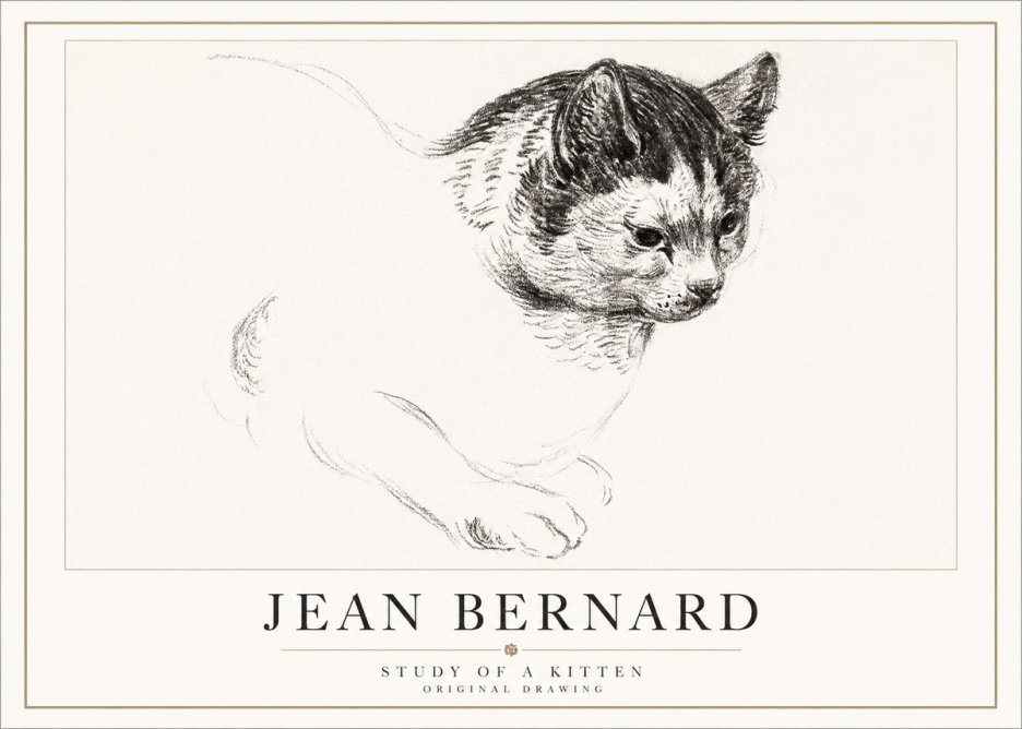 Jean Bernard Study of a Kitten I No5 - Affiche