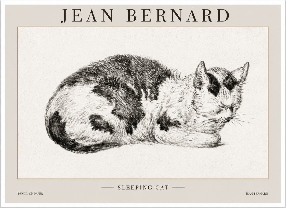 Jean Bernard Sleeping Cat I No1 - Affiche