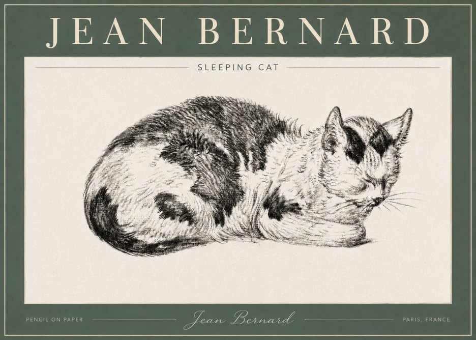 Jean Bernard Sleeping Cat I No4 - Affiche