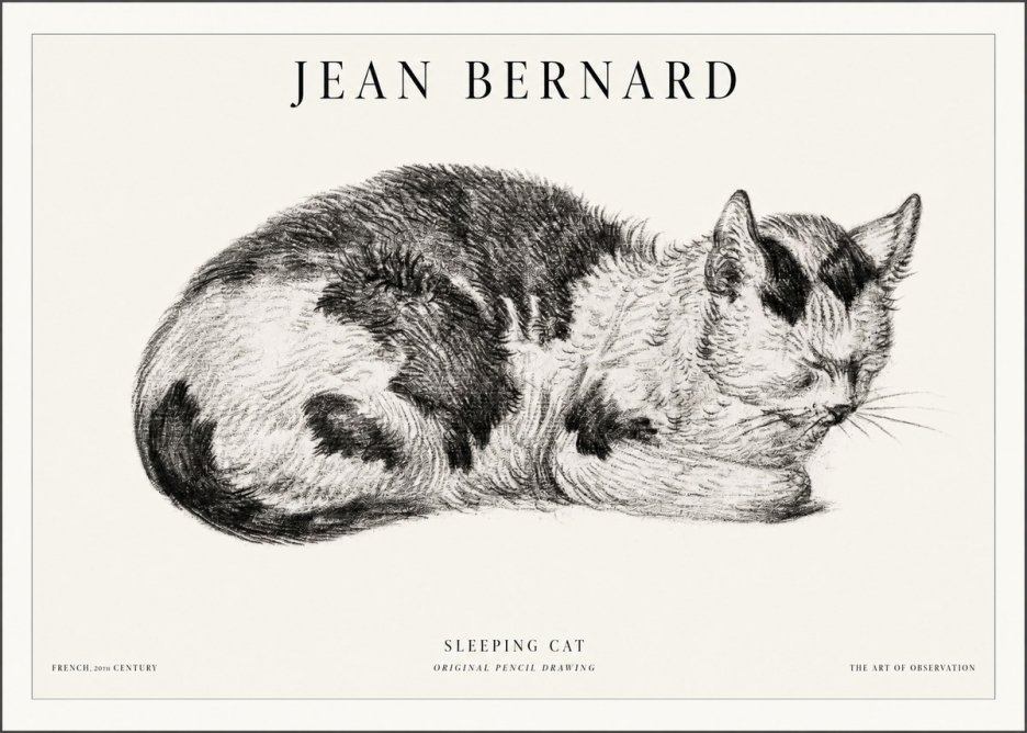 Jean Bernard Sleeping Cat I No5 - Affiche