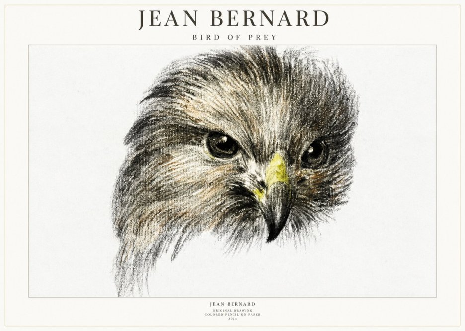 Jean Bernard Bird of Prey No1 - Affiche