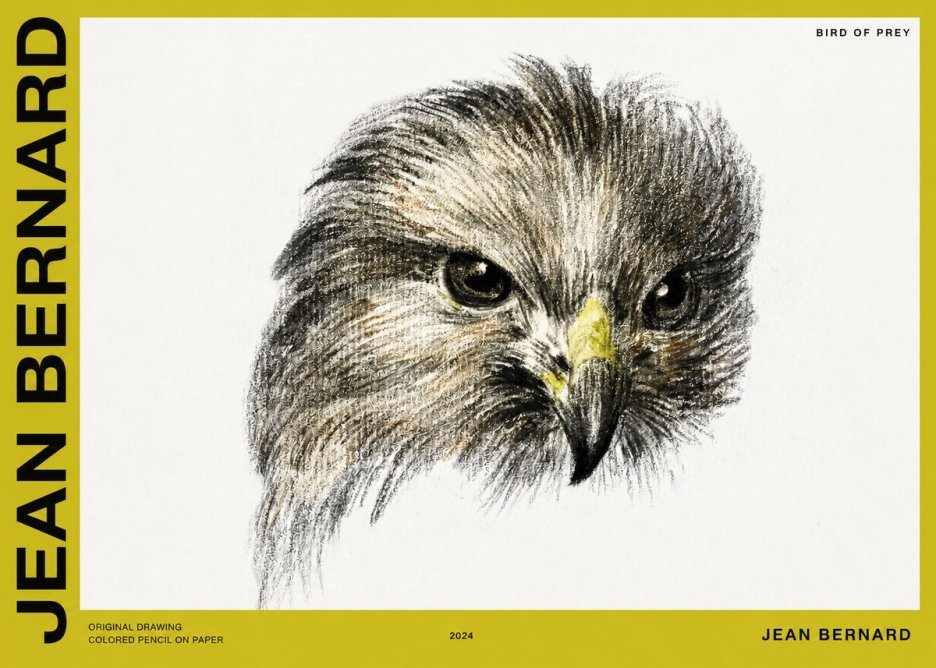 Jean Bernard Bird of Prey No2 - Affiche
