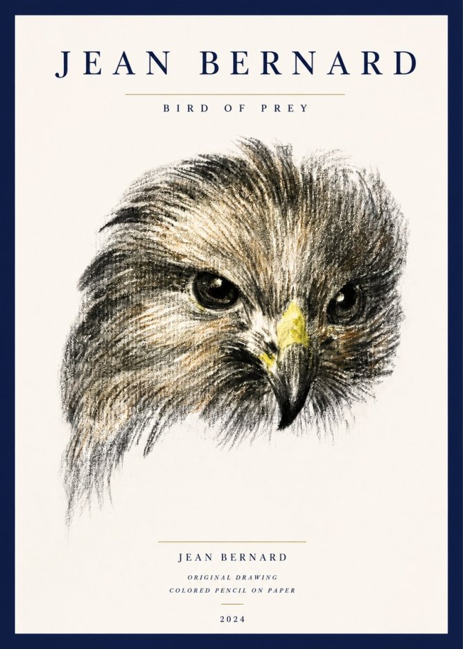 Jean Bernard Bird of Prey No3 - Affiche