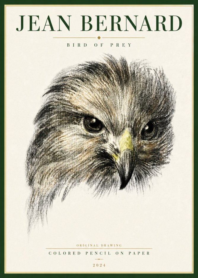 Jean Bernard Bird of Prey No4 - Affiche