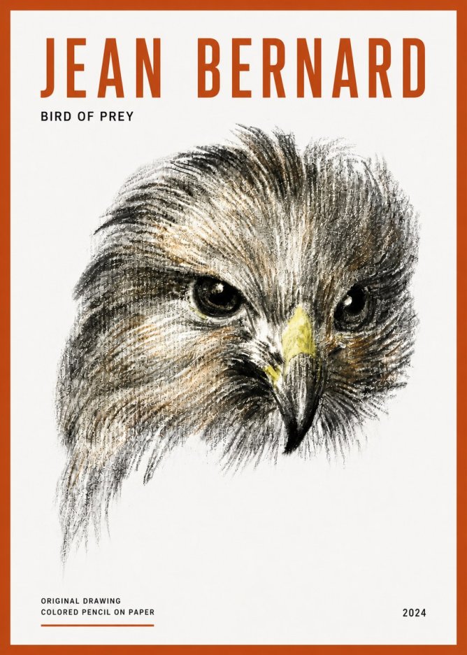 Jean Bernard Bird of Prey No5 - Affiche