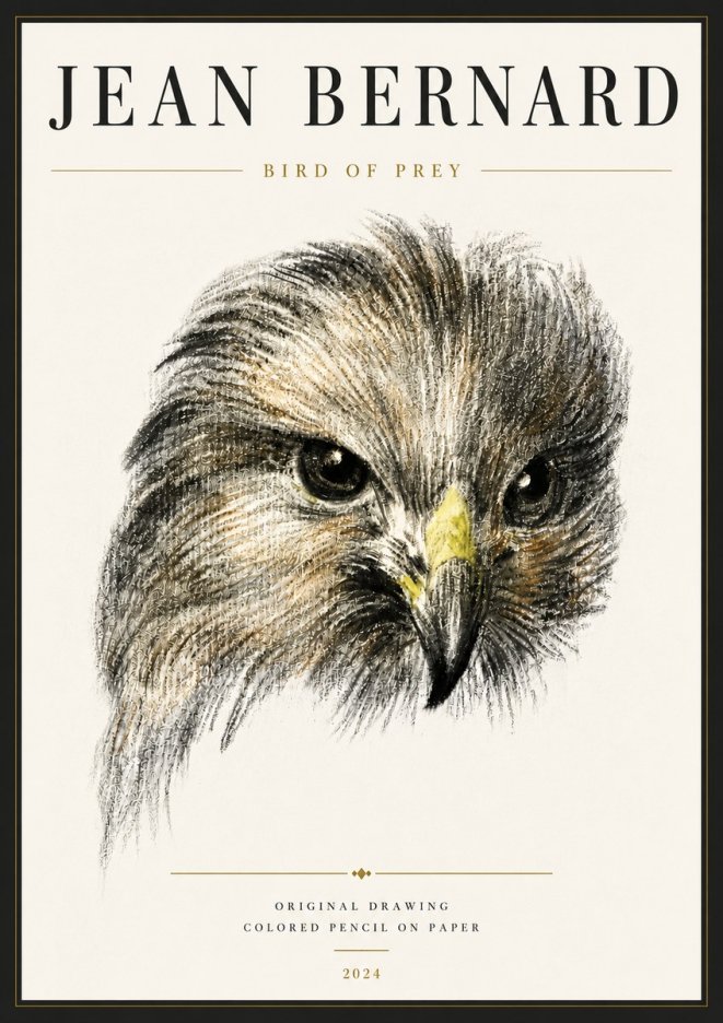 Jean Bernard Bird of Prey No6 - Affiche