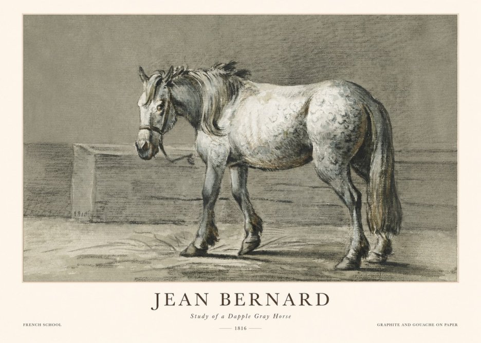 Jean Bernard Study of a Dapple Gray Horse No1 - Affiche