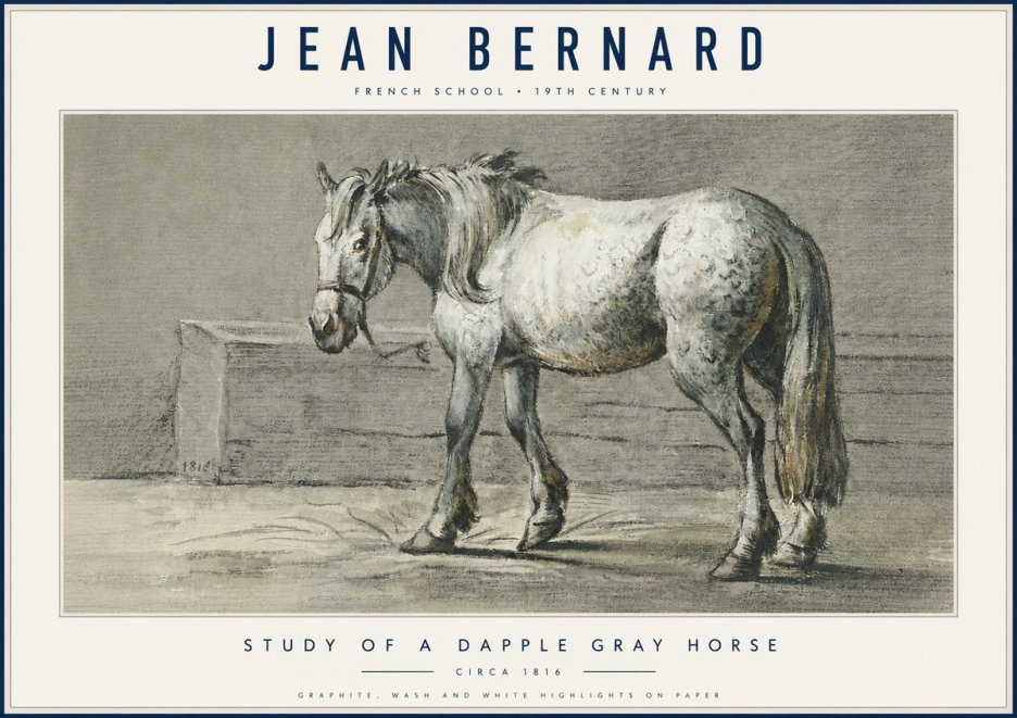 Jean Bernard Study of a Dapple Gray Horse No6 - Affiche