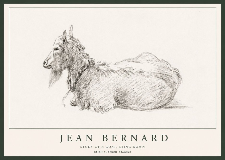 Jean Bernard Study of a Goat I No6 - Affiche