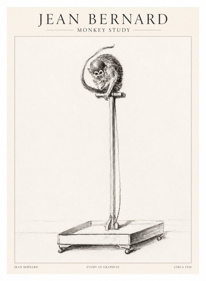 Jean Bernard Monkey Study No1 - Affiche