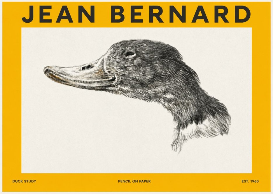Jean Bernard Study of a Duck No3 - Affiche