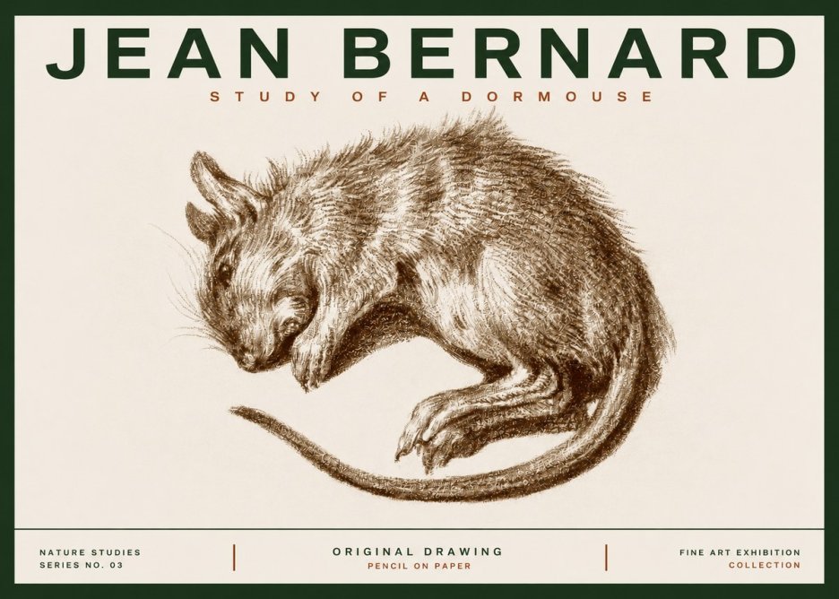 Jean Bernard Study of a Dormouse No3 - Affiche