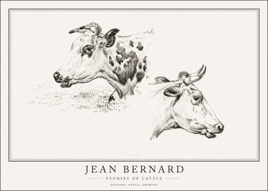 Jean Bernard Studies of Cattle I No1 - Affiche