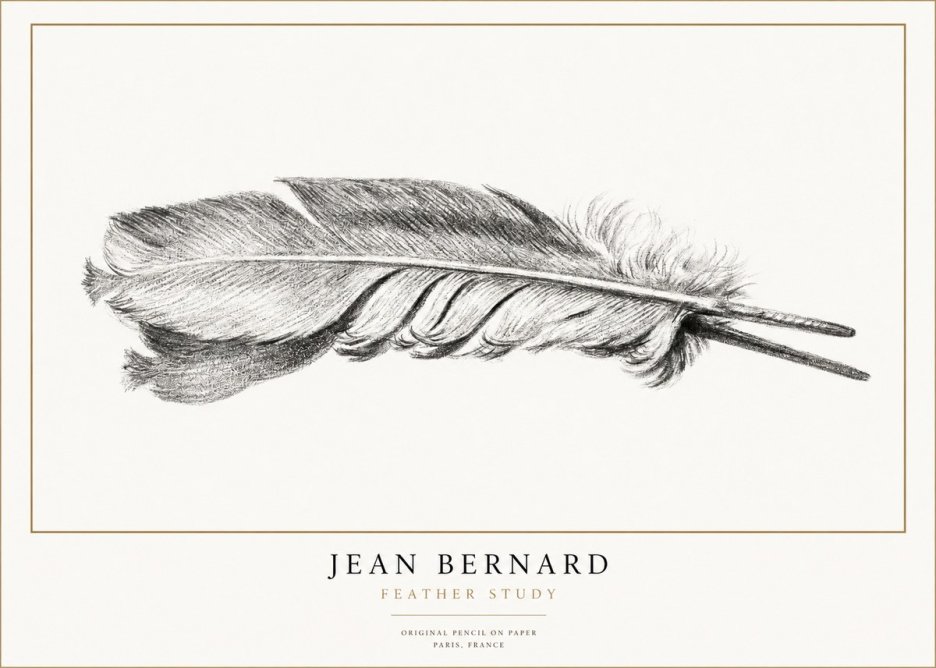 Jean Bernard Feather No3 - Affiche