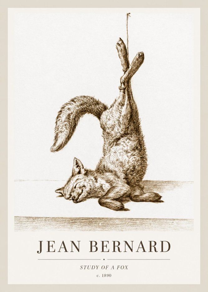 Jean Bernard Study of a Fox No1 - Affiche