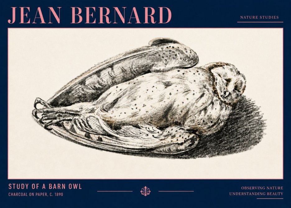 Jean Bernard Sleeping Owl No4 - Affiche
