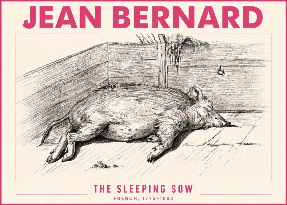Jean Bernard The Sleeping Sow No3 - Affiche