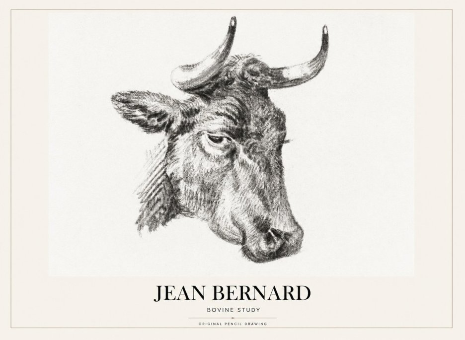 Jean Bernard Bovine Study I No1 - Affiche