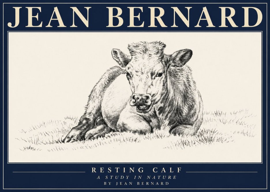 Jean Bernard Resting Calf I No4 - Affiche