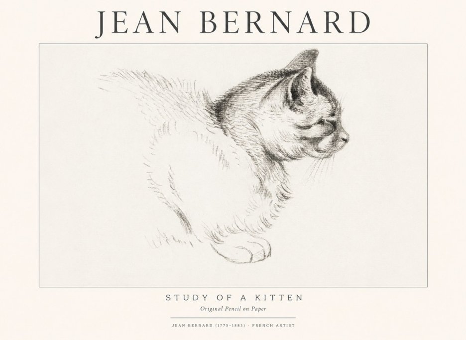 Jean Bernard Study of a Kitten II No1 - Affiche