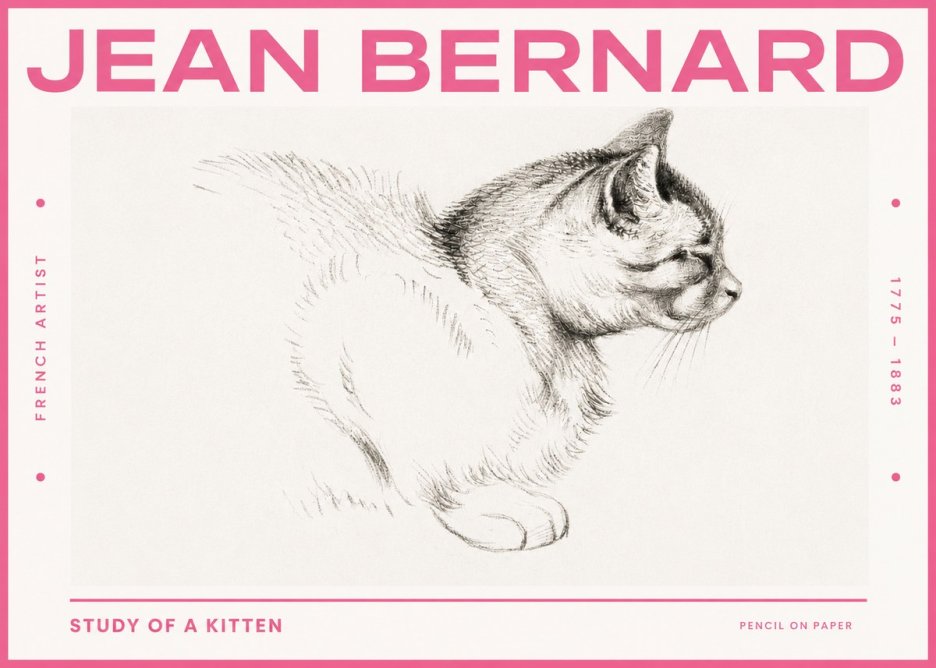 Jean Bernard Study of a Kitten II No3 - Affiche