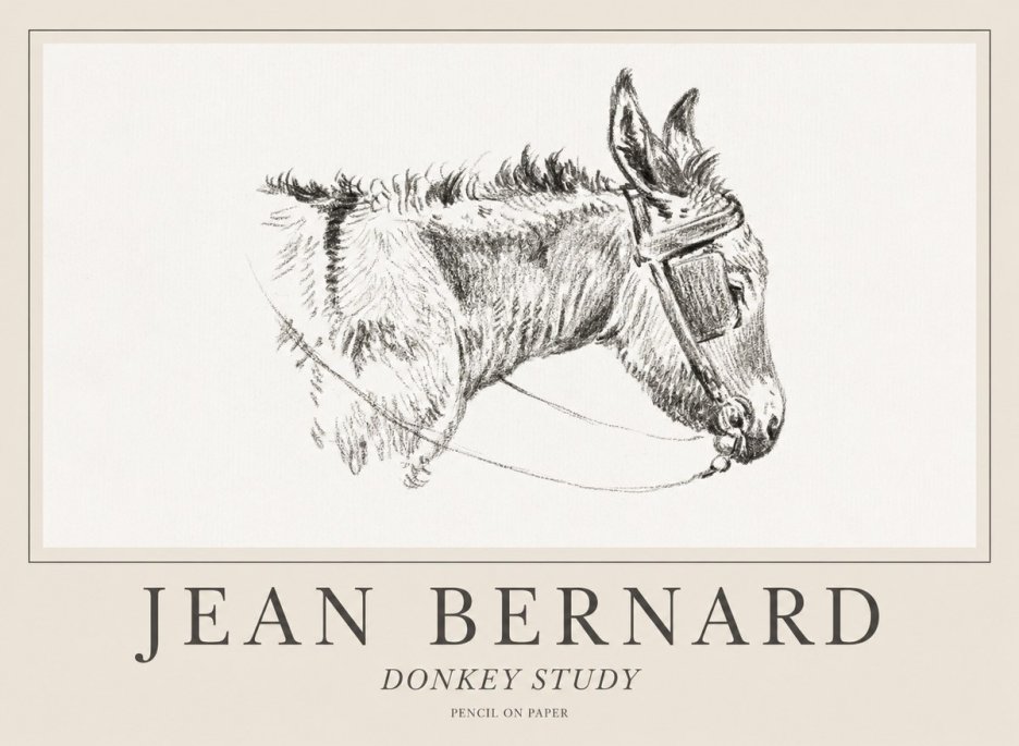 Jean Bernard Donkey Study II No1 - Affiche