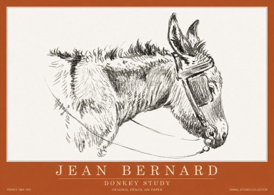 Jean Bernard Donkey Study II No2 - Affiche