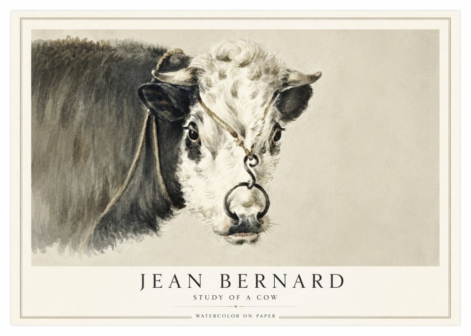 Jean Bernard Study of a Cow I No1 - Affiche
