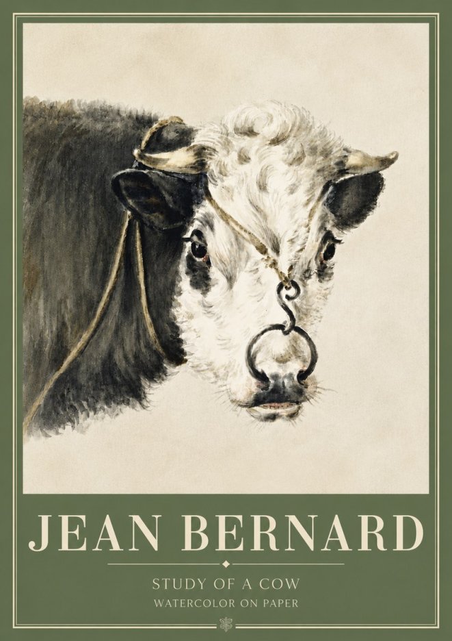 Jean Bernard Study of a Cow I No3 - Affiche
