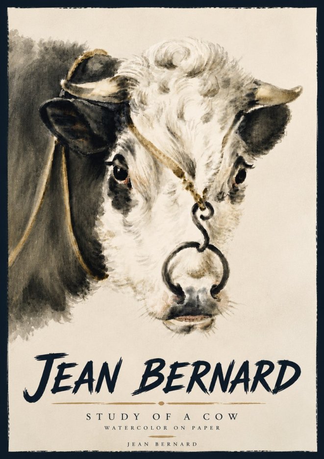Jean Bernard Study of a Cow I No5 - Affiche