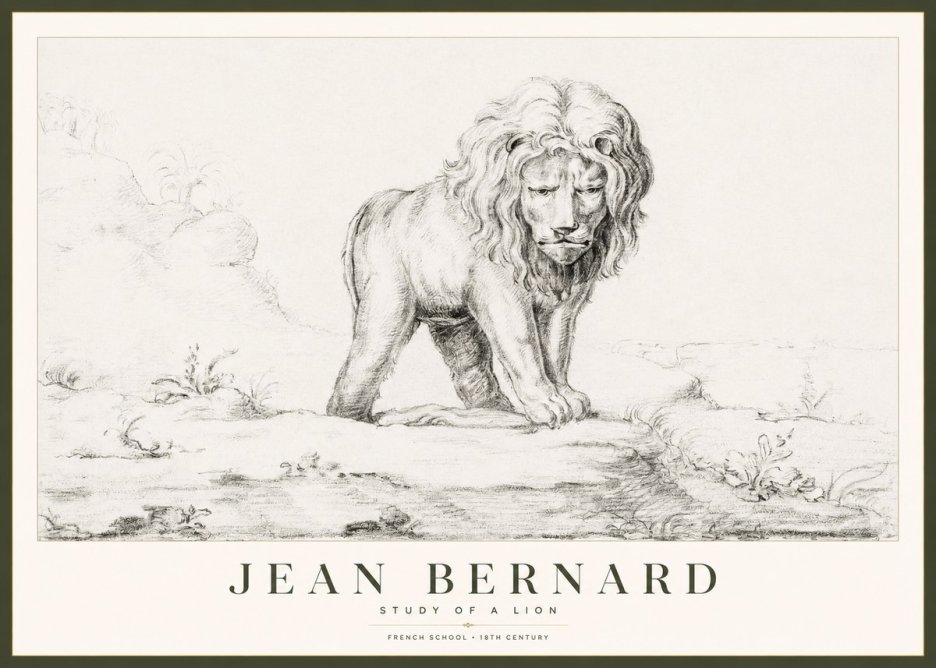 Jean Bernard Study of a Lion I No1 - Affiche