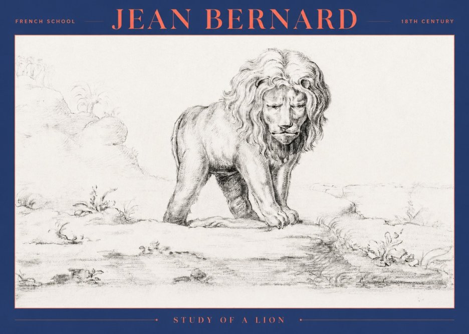 Jean Bernard Study of a Lion I No2 - Affiche