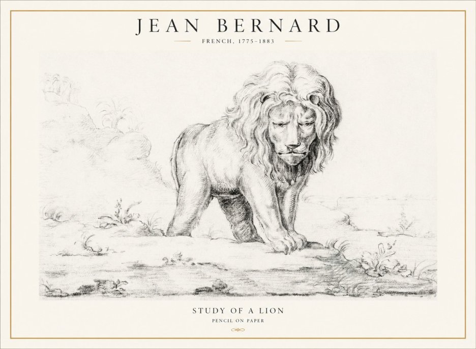 Jean Bernard Study of a Lion I No4 - Affiche