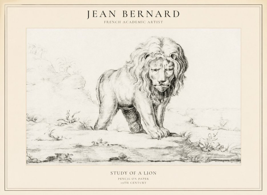 Jean Bernard Study of a Lion I No5 - Affiche
