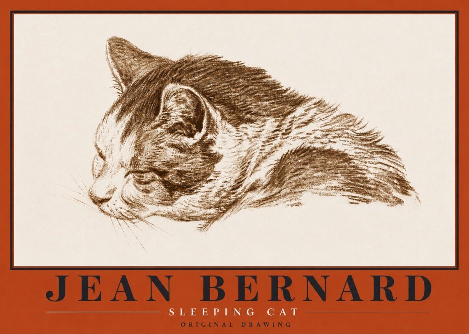 Jean Bernard Sleeping Cat II No5 - Affiche