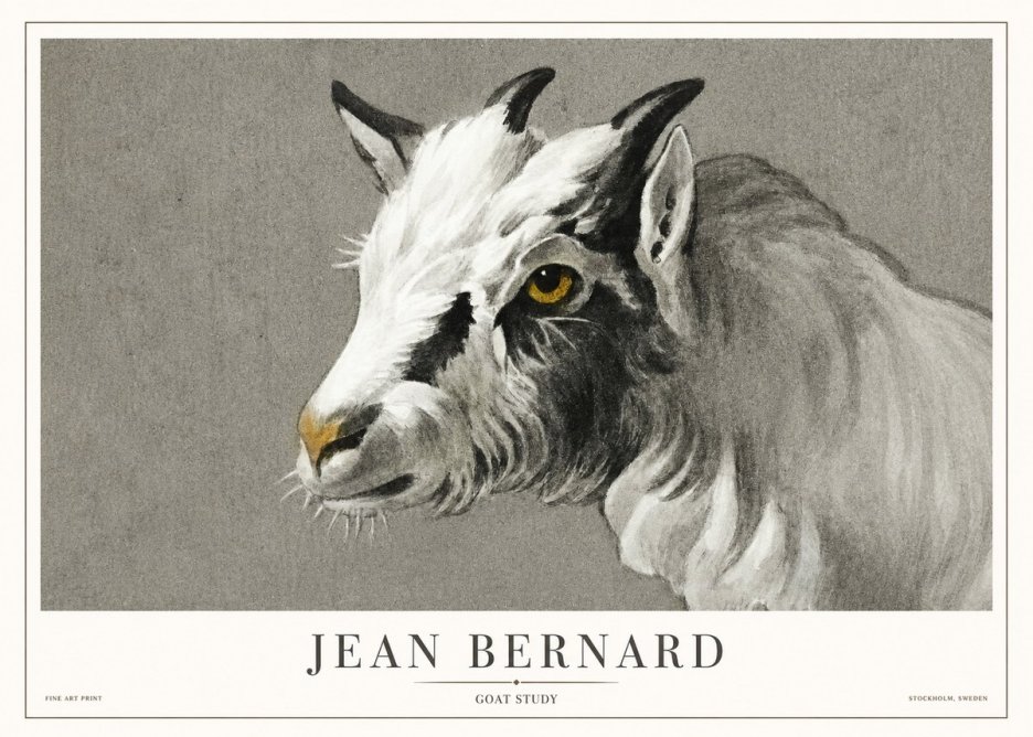 Jean Bernard Goat Study No1 - Affiche
