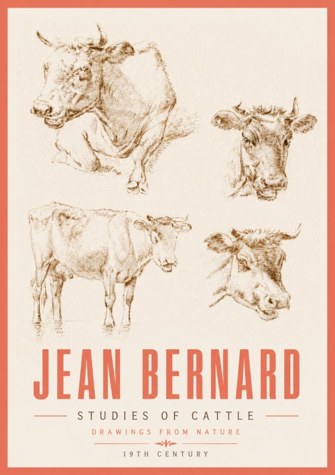 Jean Bernard Studies of Cattle II No5 - Affiche