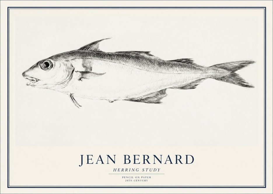 Jean Bernard Herring Study No1 - Affiche