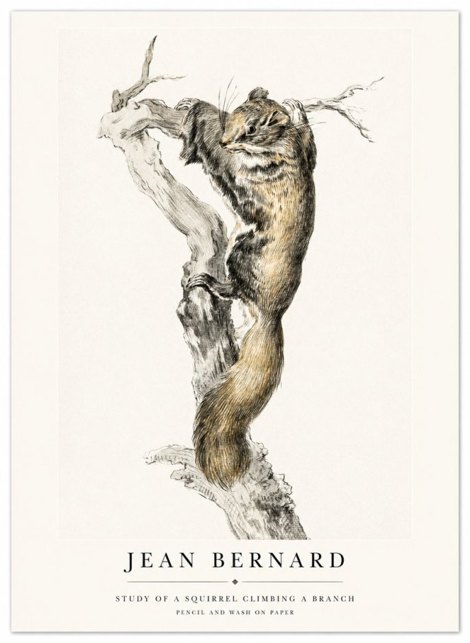 Jean Bernard Study of a Squirrel Climbing a Branch No1 - Affiche