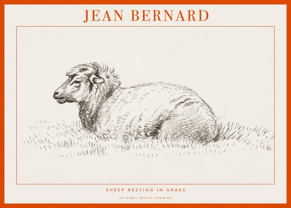 Jean Bernard Sheep Resting in Grass No1 - Affiche
