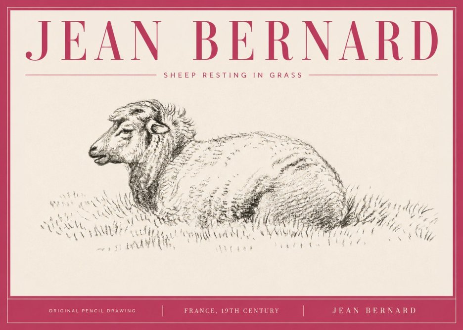 Jean Bernard Sheep Resting in Grass No4 - Affiche
