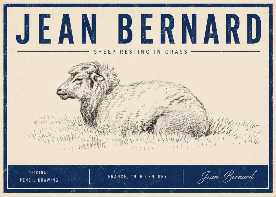 Jean Bernard Sheep Resting in Grass No5 - Affiche