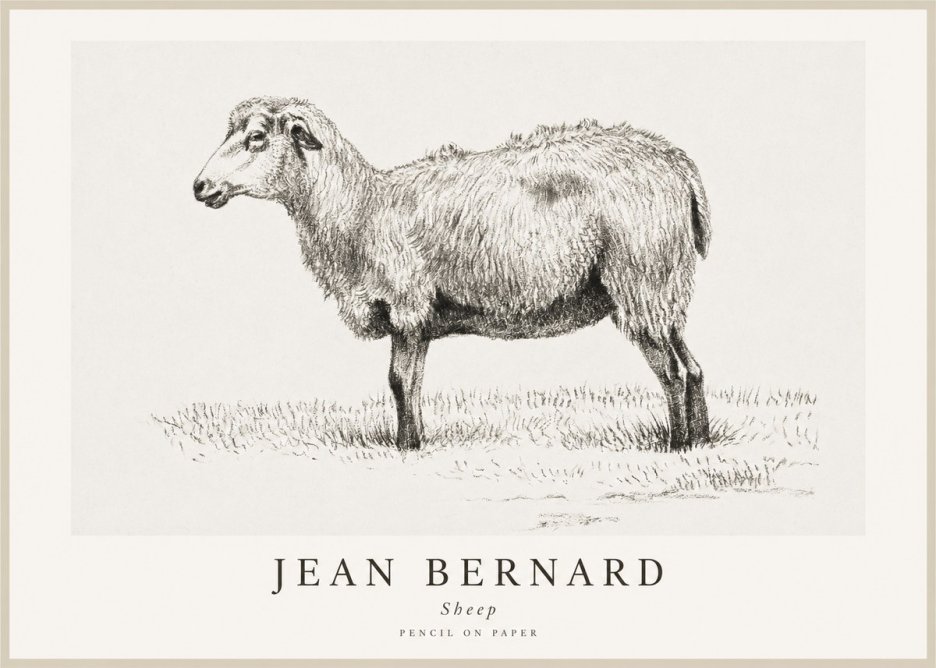 Jean Bernard Sheep No1 - Affiche