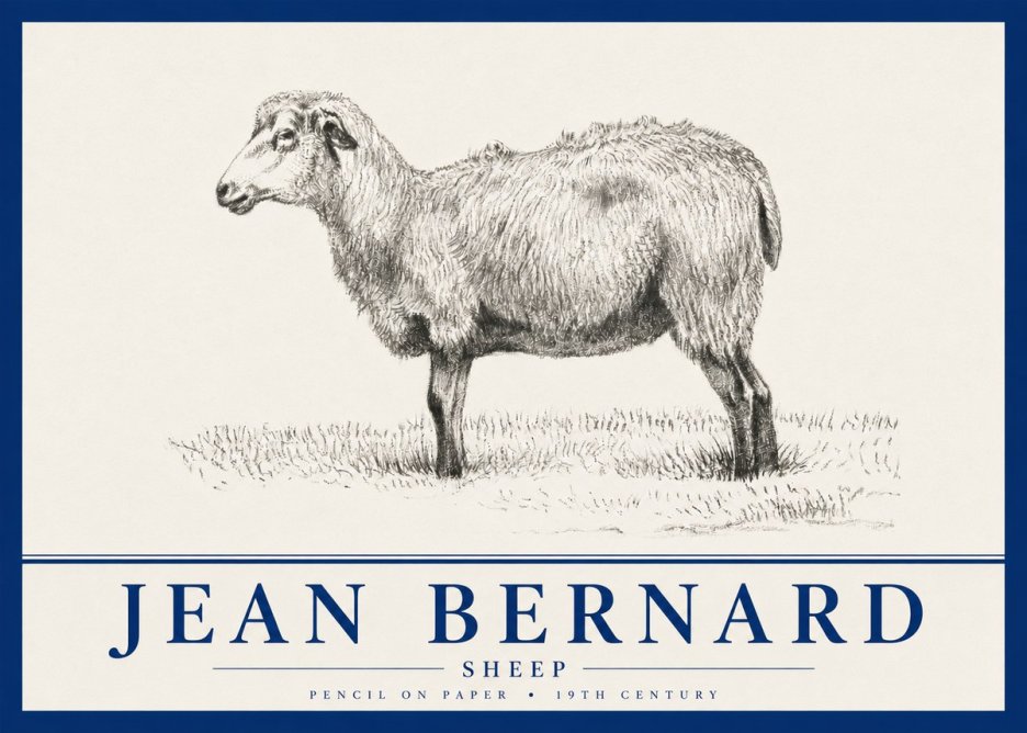 Jean Bernard Sheep No4 - Affiche