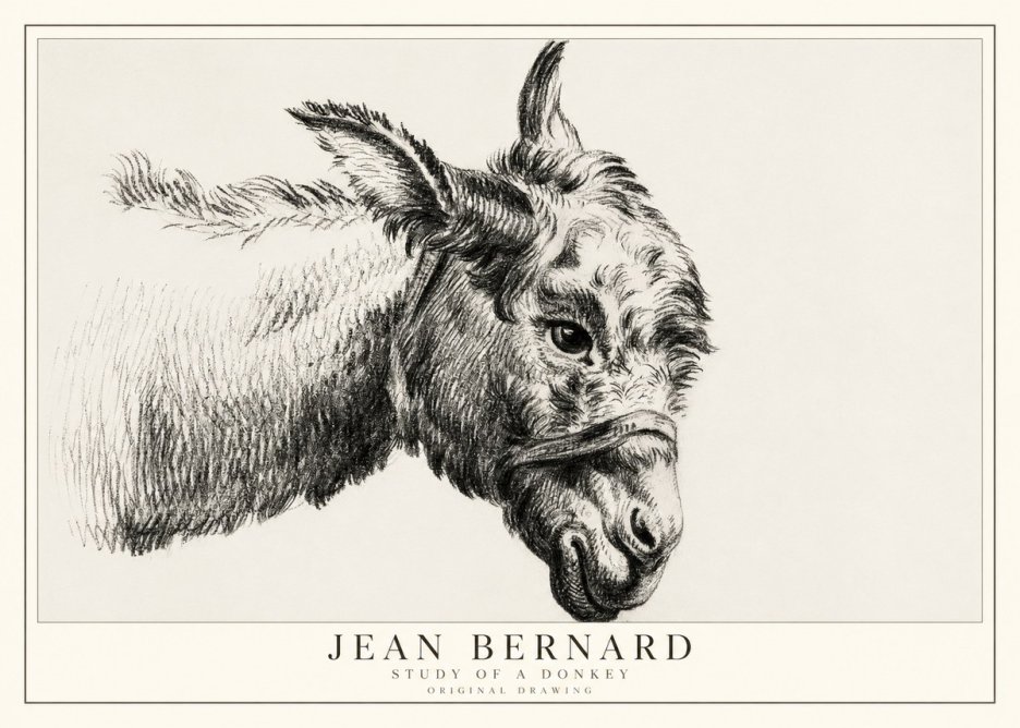 Jean Bernard Study of a Donkey I No1 - Affiche