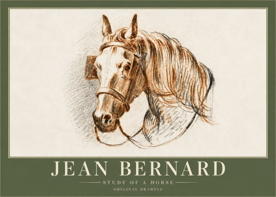 Jean Bernard Study of a Horse V No3 - Affiche