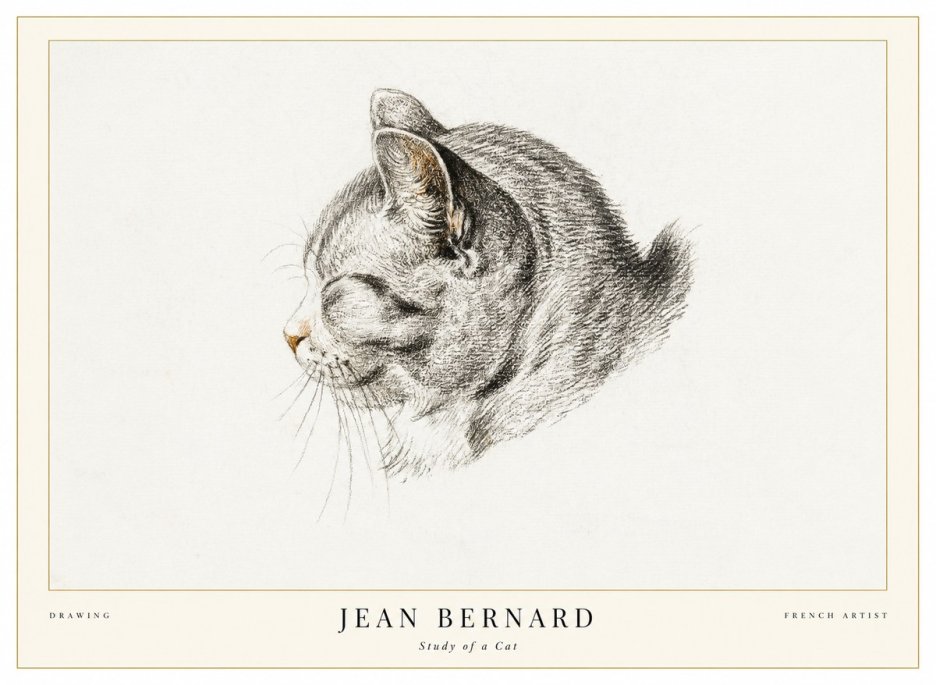 Jean Bernard Study of a Cat I No1 - Affiche