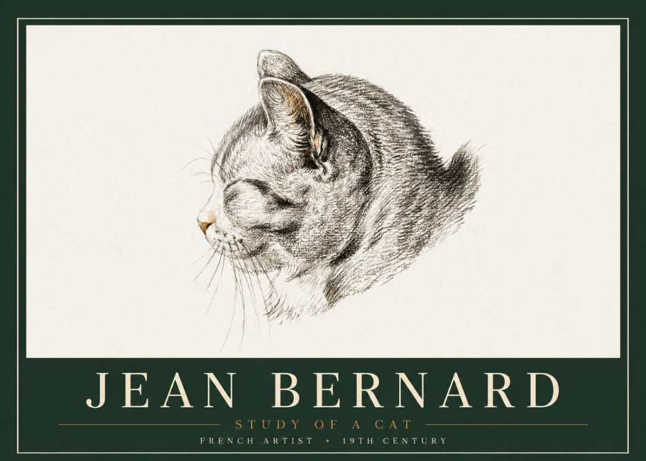 Jean Bernard Study of a Cat I No4 - Affiche
